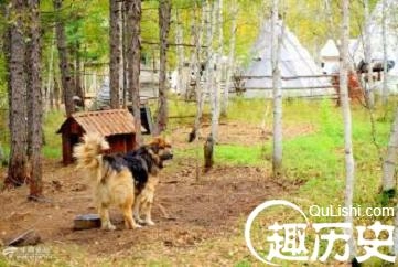 1460438085551473.jpeg 5.jpeg