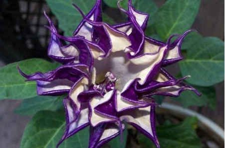 1566194099995841.png image.png