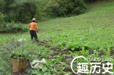 1460281562793630.jpeg 5.jpeg