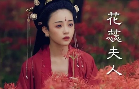 1677736733789296.png image.png