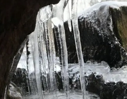 1677913737830109.png image.png