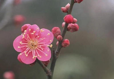 1678239417460985.png image.png