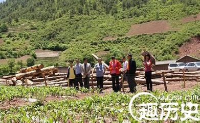 1460281445105480.jpeg 3.jpeg