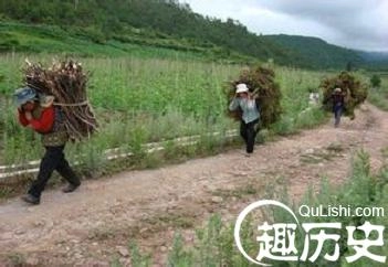 1460340432100331.jpeg 3.jpeg