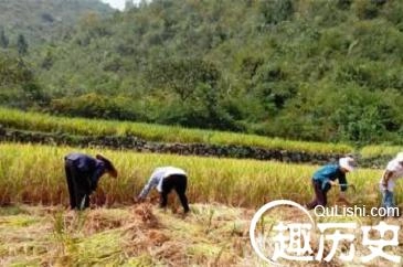 1460194078906724.jpeg 3.jpeg