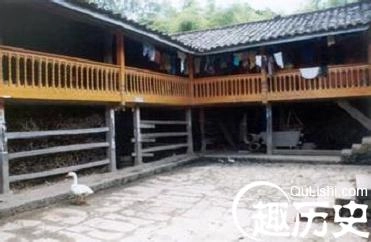 1460205666441037.jpeg 5.jpeg