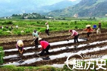 1460194107134679.jpeg 4.jpeg