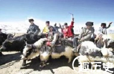 1460079589123137.jpeg 3.jpeg