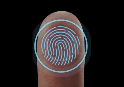 1676005013397681.png image.png