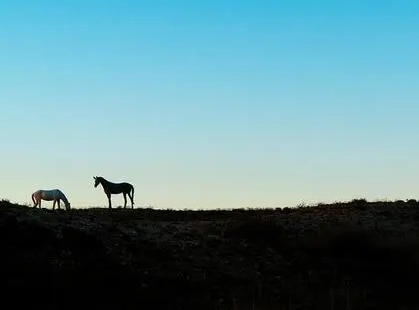 1674357643890555.png image.png