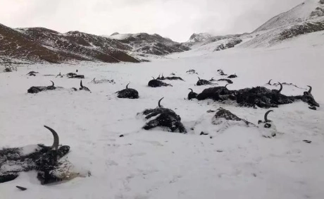 1675058063994111.png image.png