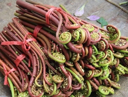 1673579233952318.png image.png