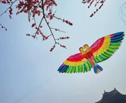 1674357630330384.png image.png