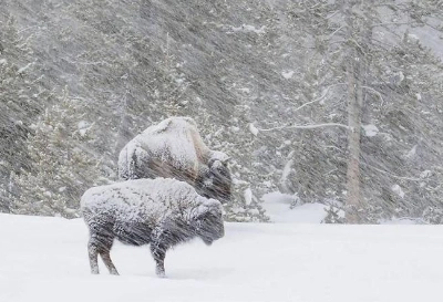 1675058056605765.png image.png