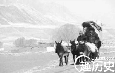 1460008636989026.jpeg 4.jpeg