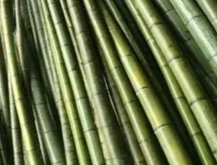 1673320884964908.png image.png