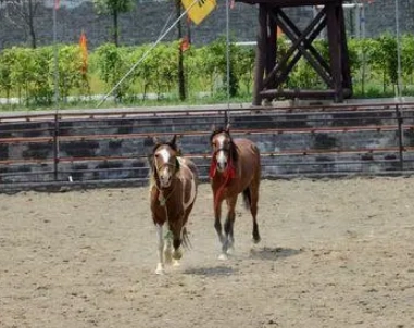 1670813436468641.png image.png