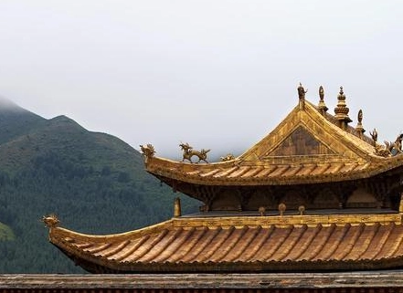 1661408717343018.png image.png