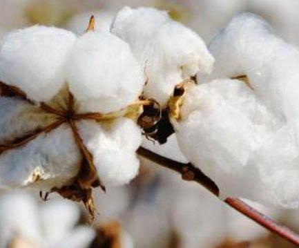 1670901961736477.png image.png