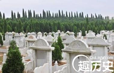 1459850975933589.jpeg 3.jpeg