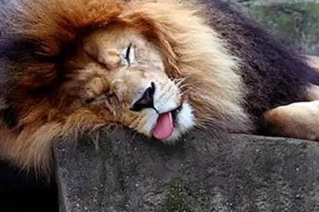 1563782938483608.png image.png