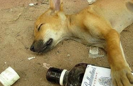 1563782943114858.png image.png