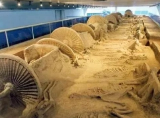 1581653316265682.png image.png