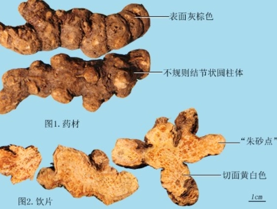 1670815933535273.png image.png