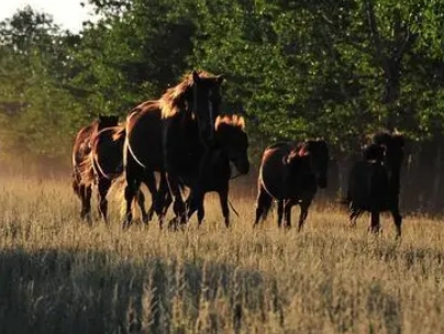 1670813446524840.png image.png