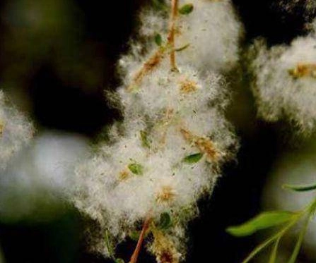 1670901958936168.png image.png