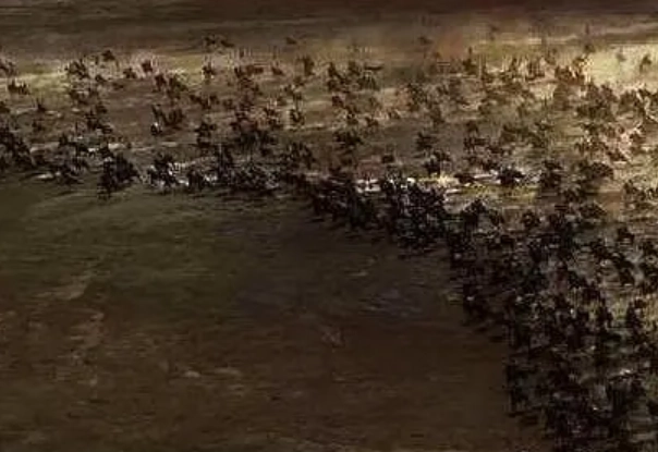 1670467841174349.png image.png