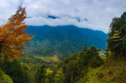 1669262083200388.png image.png