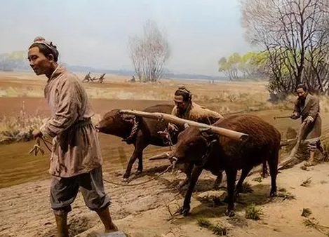 1669086805363439.png image.png