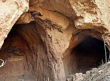 1665279321603722.png image.png