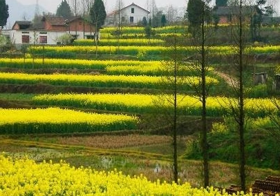 1664945383200981.png image.png