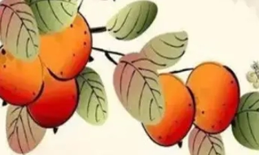 1668131585987474.png 图片.png