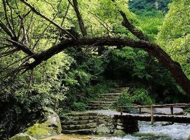 1664945388422072.png image.png