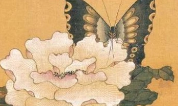 1663566371767772.png 图片.png