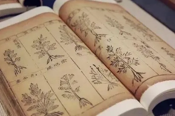 1669605342384685.png image.png