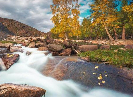 1550370049408659.png image.png