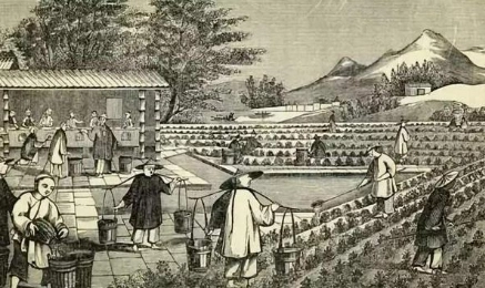 1663812440774981.png image.png