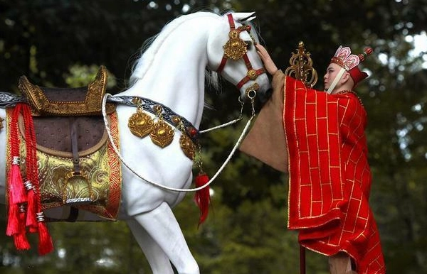 1547710023305195.png image.png