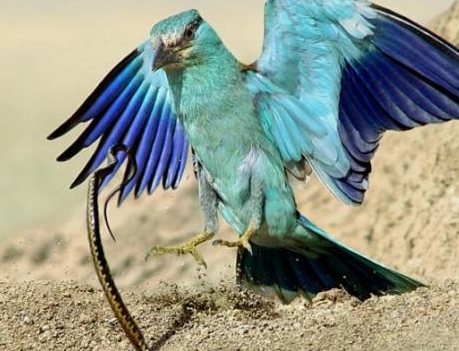 1663731105783761.png image.png