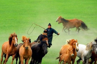 1663741049856869.png image.png