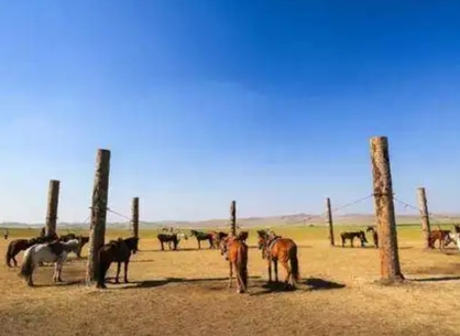 1663656390176968.png image.png