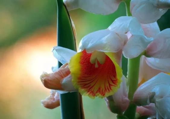 1545889997661815.png image.png