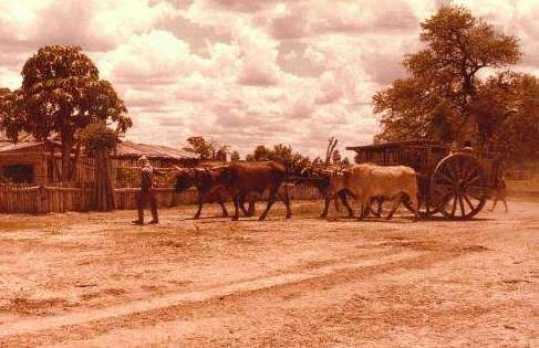 1538101506512056.png image.png