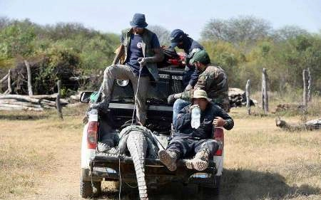 1538101536429887.png image.png