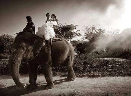 1537930173229241.png image.png