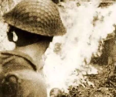 1537407845982013.png image.png